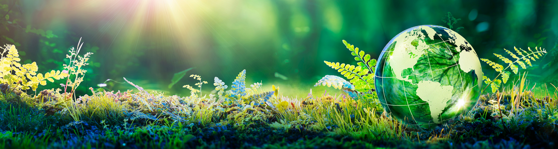Environment Concept - Globe Glass In Green Forest With Sunlight