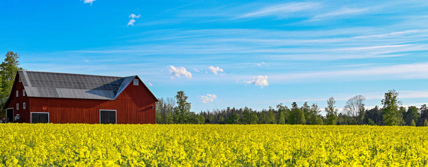 green field with a red house and blue sky for sustainability transition in sweden