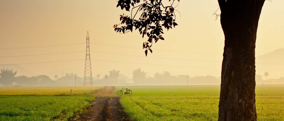 Green Nature View shutterstock banner