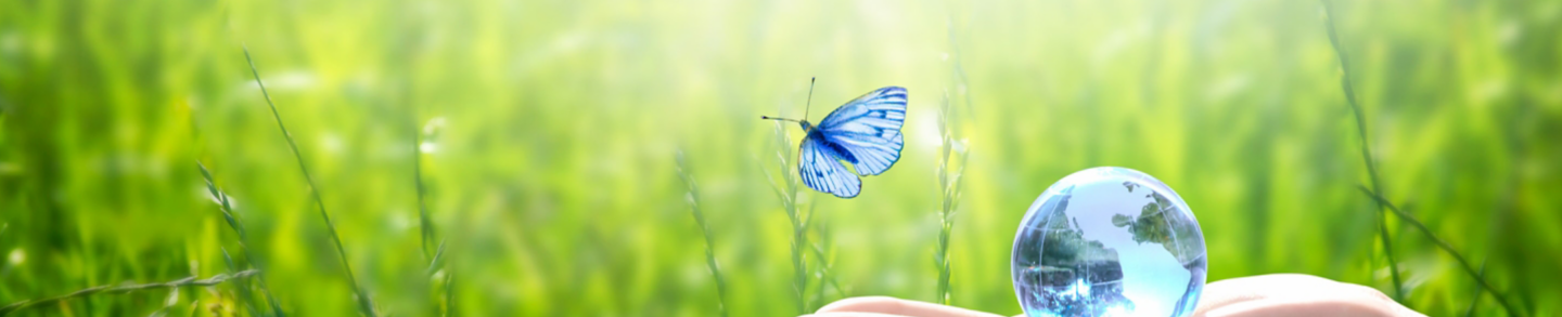 Earth crystal glass globe ball in human hand, flying butterfly with blue wings, fresh juicy grass background. Saving environment, save clean green planet, ecology concept. Card for World Earth Day.