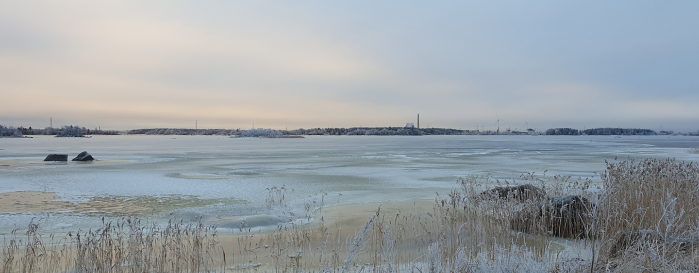 Tahkoluodon merituulipuisto. Kuva © Suomen Hyötytuuli Oy,  kuvaaja Petteri Mäkelä