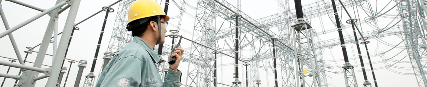 Surge arrester products, services and solutions