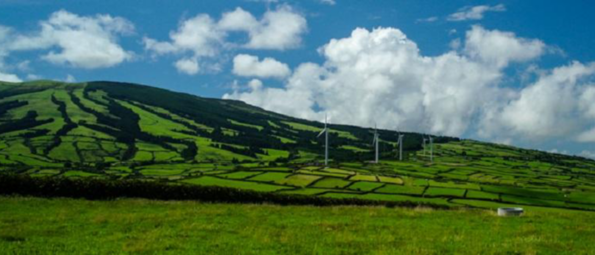 Microgrid control technology with integration of wind energy